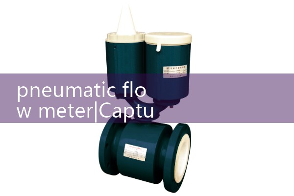 pneumatic flow meter